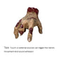 🖐️ 90% OFF NOW! ✨ Realistic Scary Hand Props - Flexible & Creepy for Halloween/Cosplay, Perfect for Decoration or Pranks 🎃📦
