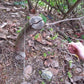 Survival Gear Stainless Steel Wire Saw