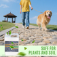 🔥 FLASH SALE! 90% OFF 🔥 Quick-Drying Sticky Landscape Adhesive – Instant Hold, Zero Mess! 🌿✨
