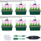 ⏰Limited offer 49% discount🔥Seed Starter Trays with Grow Light